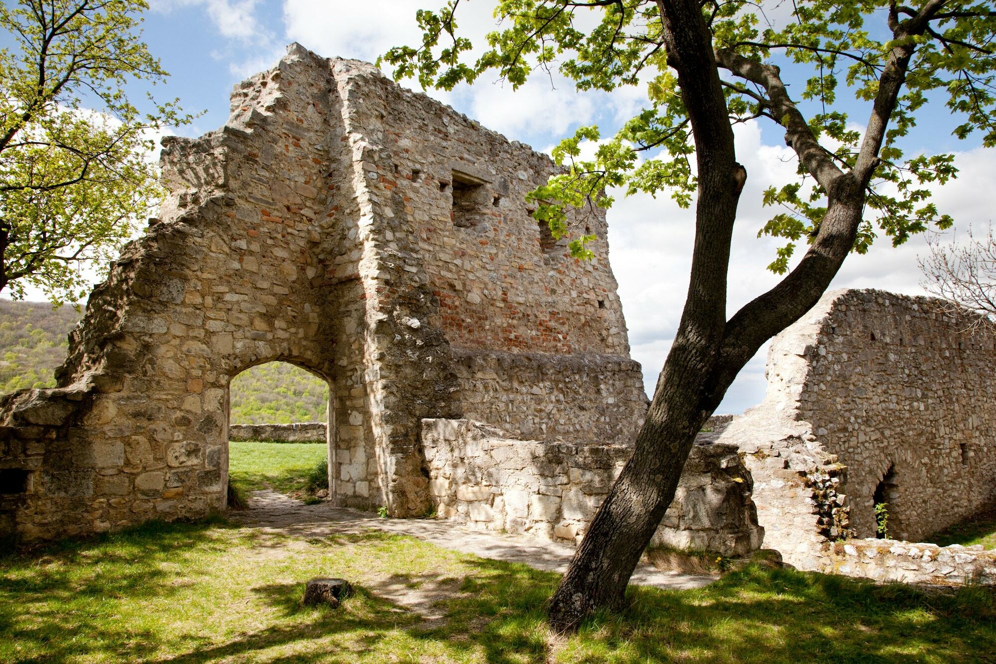 היינבורג אן דר דונאו Hotel Altes Kloster מראה חיצוני תמונה